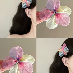 wANbv fB[X I[KW[ ܕكt[ LfB[J[ F i GKg ؂₩ 킢 _bNrNbv TChNbv ؍X^C t  vX`b