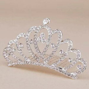 wAANZT[ fB[X vZX ؍ NE eBA 嗱CXg[ ߂ uC_ EFfBO  I p[eB[ \ wAR[  񂴂 S