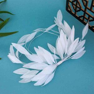 wAANZT[ fB[X IWifUC  nhCh H tFU[ 受 g wANbv   ؕ wbhhX a Cxg 