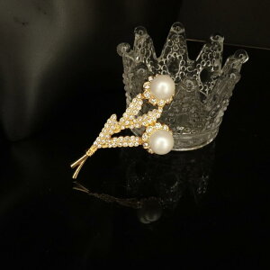 u[` fB[X obN {앗 I ԑ CXg[  GKg i RT[W ANZT[  Ǝ ig 