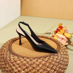 pvX fB[X nCq[ ~[ ItBX rWlX JWA ׃q[ |CebhgD 󗚂 n   AvRbg tďH 傫TCY TCY(x2)