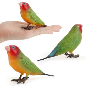 �t�B�M���A �L�b�Y �������� �� 9�_�Z�b�g ���A�� �~�j�`���A �����͌^ �m��ߋ� macaw ���� �I�E�� �t���~���S �y���J�� PVC