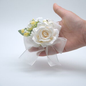 EFfBORT[W VY u[gjA uCYCh Xgu[P i` [Y sN u[  [t  񎟉 p[eB[ I