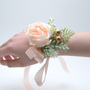 RT[W jp A  o Xgu[P u[gjA Zbg  EFfBO uC_ tH[} Ǝ \ LxȃJ[