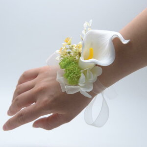   VYVw XgRT[W u[gjA ݌RT[W PU J[[  AȎ p[eB[ I