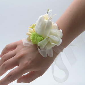 t[RT[W  EFfBO Vw uCYCh Xgu[P VY AbV[ u[gjA `[bv   VNt[ Jt I 񎟉 p[eB[