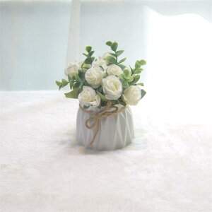 tFCNO[ A CeA [J [Y ~jTCY _ i rO _CjO ItBX fXN   ͂Ȃ sv AȎ  sN