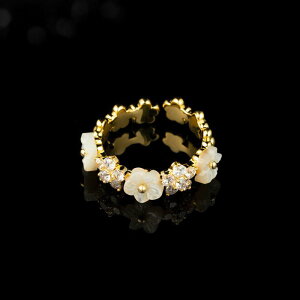 w fB[X CgOWA[  VF t[ ԃ`[t I[vO t[TCY 킢 I gh lwO  dCbLH H~ t@bV