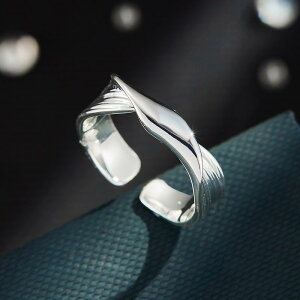 w fB[X I sK AVg[ cCXg I[vO t[TCY ߉\ lwO i  t@bV Vv Vo[  dCbL(x2)