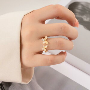 w fB[X LbcACXg[  o^tC I[vO Vv t[TCY @ i ig f[g  gh  dCbLH