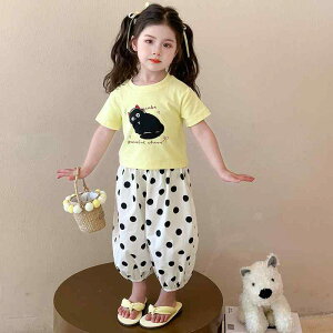 LbY ̎q ZbgAbv   㕪pc  h hbg L  Rbguh 킢  ؍ q xr[