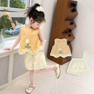 ZbgAbv ̎q ĕ LbY xr[ m[X[u gbvX 㕪pc ㉺Zbg  ȍa \tgn 킢  o ʋC CG[ F t