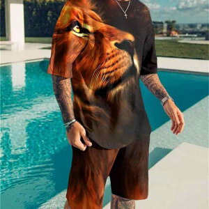 TVc Y X|[cEFA JWA ZbgAbv   傫TCY 3Dvg |GXe  ig g[jO ㉺Zbg(x2)