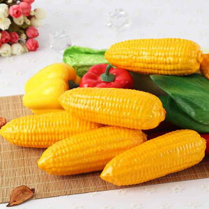 HiTv A Ƃ낱 tFCN R[ y AX`[  fBXvC Xg HX JtF ~[ Be tHgvbvX X܏Y _~[ IuWF