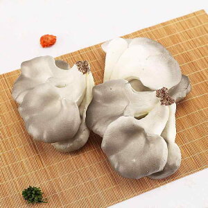 HiTv PU tFCN ̂ 5Zbg I A V[EBhE fBXvC Be X Xg JtF ƒ CeA  IuWF G