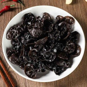 HiTv LbY tFCN LmR LNQ  ʕ vX`bN LNQ A { fBXvC Be  u CeA Xܗp ƒp