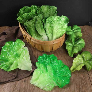 HiTv A ^Xt tFCN ؖ͌^ { fBXvC u CeA Xܑ Be V[P[Xp 傫