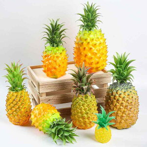 HiTv A pCibv tFCN t[c fBXvC IuWF CeA  Xܗp V[P[X f[ Bep 