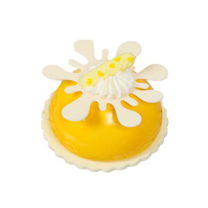 ①Ƀ}Olbg tXP[L [XP[L fU[g HiTv CeA u fBXvC  nhCh A 킢 6Zbg A\[gJ[(x2)