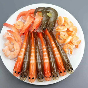 HiTv Gr CV tFCNt[h ͌^ mߋ fBXvC CeA X V[P[X PVC  fR[V(x2)