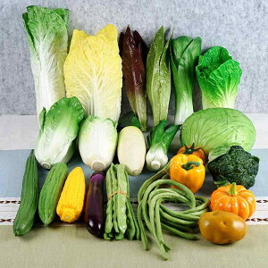 HiTv tFCNt[h  ʕ PUf fBXvC u IuWF Be CeA gERV イ hq