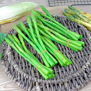 HiTv tFCNt[h A I AXpKX ^PmR gERV t[c  ͌^ fBXvC Bep CeA Xܗp vX`bN V[P[X(x2)