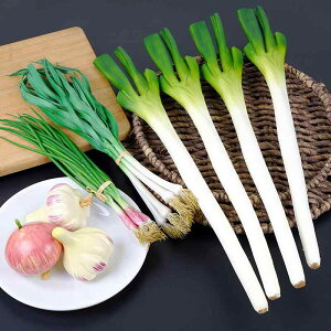 食品サンプル リアル 長ネギ ニンニク ニンニクの芽 フェイク 野菜 模型 オブジェ 置物 子供 知育玩具 幼児教育 キッチン 店舗 ディスプレイ 装飾