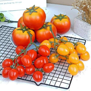 tFCNt[c ~jg}g[ { HiTv fBXvC ͌^ Be CeAG qpmߋ c \tgPVC bh CG[(x2)