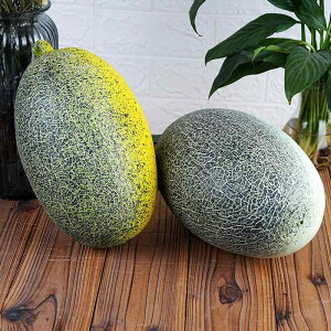 HiTv A tFCNt[c }XN hA }SX` ~Z { fBXvC u CeA IuWF Xܑ Be(x2)