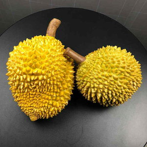 HiTv A I LRhA tFCNt[c ʕ IuWF u fBXvC AX`[ y CeA Xܑ V[P[X(x2)