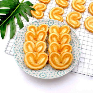 wAANZT[  wANbv HiTv tFCNXC[c A NbL[ rXPbg p~G ~j`At[h PVC DIY nhCh |p[c