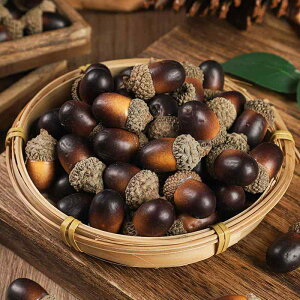 CeAG tFCNhC؂̎ ǂ񂮂 ڂ w[[ibc ~j`A fBXvC Be I[ig Xܑ  Rfޕ AX`[