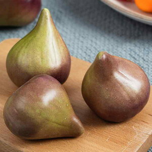 tFCNt[c C`WN A lHt[c tH[ t[cTv ʕ fBXvC Xܑ V[P[Xp ͌^ q 蕨 CeA IuWF fR[V