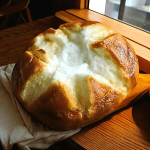 tFCNt[h p  Ђъۃp Ehubh Xg X܃fBXvC f[ CeA Be u uE x[W(x2)