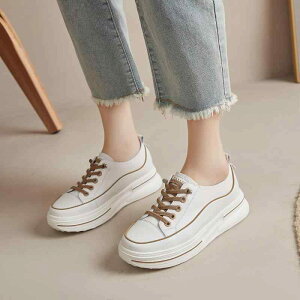 Xj[J[ fB[X Xj[J[ {v v K y  ʋC ϋv EhgD [Jbg zFfUC NXXgbv Xb| w X|[c JWA ^C ig