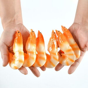 L[z_[ zbLNGr A HiTv CV Xgbv obO`[ PVC IȃW{Vv fC[[X tFCNt[h(x5)