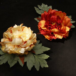  fB[X  Õ 㕗  O   t[ TChNbv wANbv  z ʐ^Be r[` \  RXv(x5)