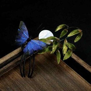 wAANZT[ fB[X  VN  IWifUC |̗t O[ {앗 g Õ `CihX  a wAR[ 񂴂 H~(x5)