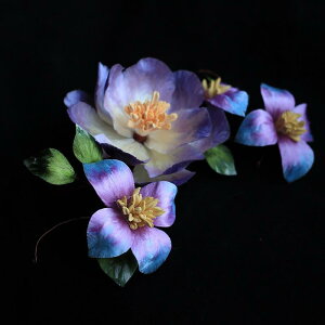   Oԃ`[t Õ a nhCh `Z@ xxbg wbhhX wAANZT[ ʃJ[ z ߑ   Cxg(x5)