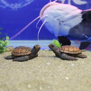 u CT A ~j`A tBMA  I[ig K[f r[` l eE  fR[V  킢 }XRbg Cm