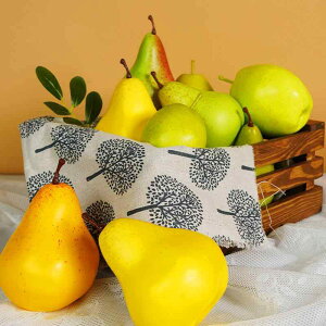 HiTv  tFCNt[c A IȎ fBXvC Wp V[P[X Be ʐ fbT IuWF AX`[