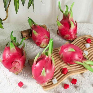 HiTv tFCNt[c hSt[c A Be Xܑ fBXvCIuWF V[P[X CeA 蕨 PUf AX`[ I