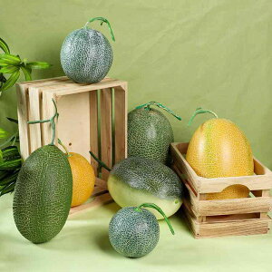 HiTv n~E  vX`bN A { i  tFCNt[c Be ʐ fbT fBXvC Xܑ CeA wKp