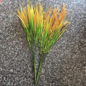     tFCN C~e[V {[ CeA  rO  Be tHgvbvX c Jg[ i` vX`bN