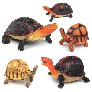 NK tBMA qp A AiNTK ASmJK ͌^ mߋ ώ@ PVC I CeA u