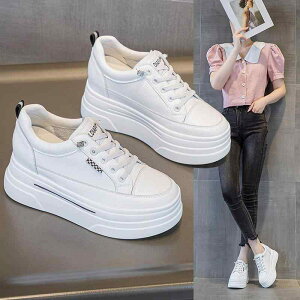 Xj[J[ fB[X   Cq[ JWA  EFbW\[ [Jbg {v Xb| EhgD CXg[ NXXgbv vbgtH[ ؊v