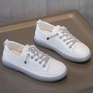 Xj[J[ fB[X 傫TCY {v v ؊v tbg L b zCg AC{[ JWA ig fC[[X ʋ ʊw [Jbg EhgD [XAbv ʋC