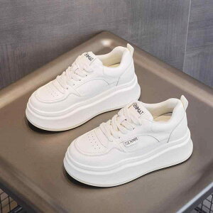 Xj[J[ fB[X  H~ JWA [Jbg [XAbv EhgD v ʋC K ~ ۉ Đ@ۗn X^CAbv 