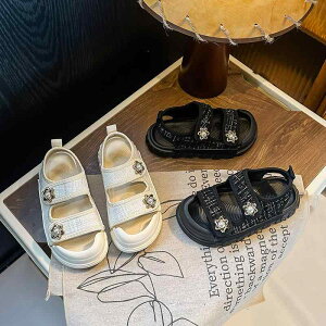 T_ ̎q K[Y LbY ܐی }WbNe[v \tg\[ X|[c r[`T_  lHv S  ubN AC{[  ig o ʉ ʊw V y