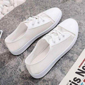 Xj[J[ fB[X bV zCg tbg ʋC h y JWA ig w ʊw i[XV[Y VjA